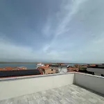 Monachus 维尔