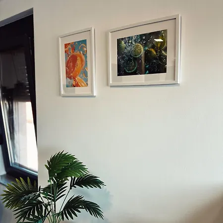 Apartment Monachus *